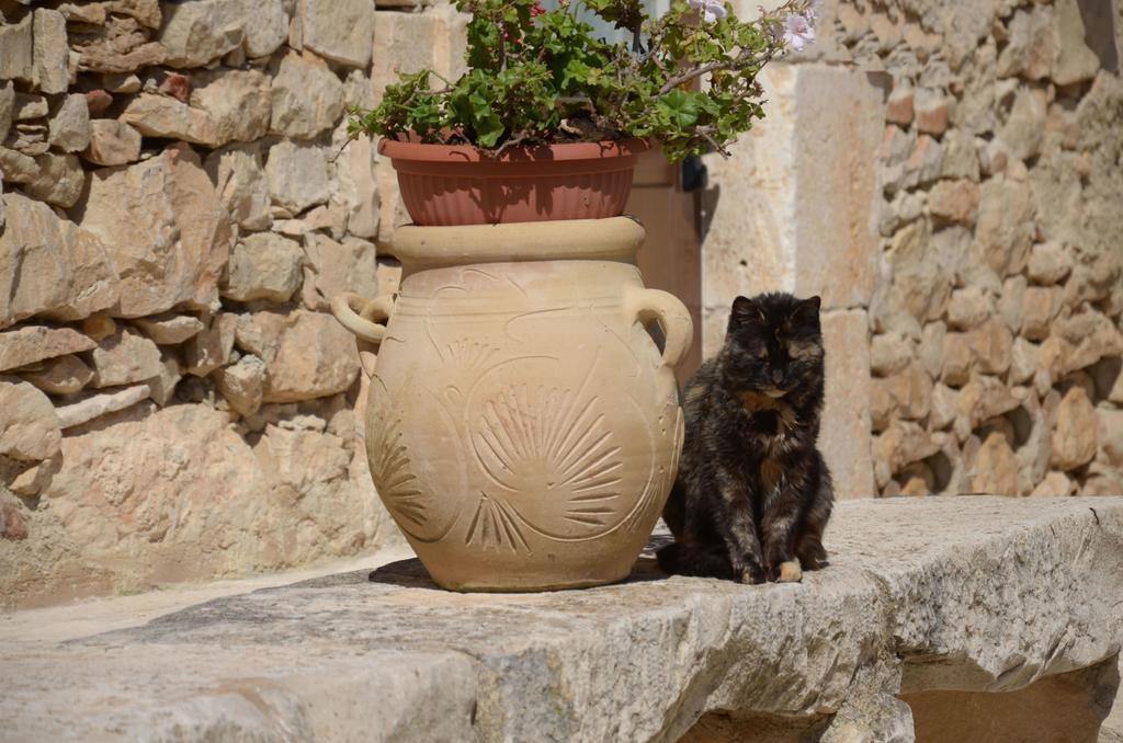 Casina Di Grotta Di Ferro ξενώνας Santa Croce Camerina Εξωτερικό φωτογραφία